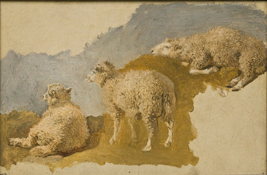 Three Sheep. Study, vintage artwork by Kilian Christoffer Zoll, A3 (16x12") Poster Print
