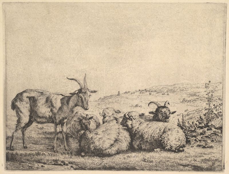 Two Goats and Three Sheep, vintage artwork by Carel Dujardin, 12x8" (A4) Poster