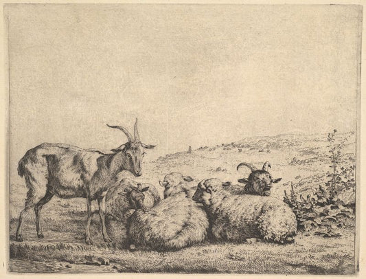 Two Goats and Three Sheep, vintage artwork by Carel Dujardin, 12x8" (A4) Poster