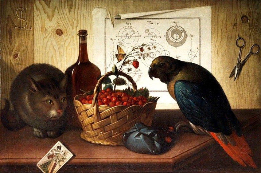 Still life with cat and parrot, vintage artwork by Sebastiano Lazzari, 12x8" (A4) Poster
