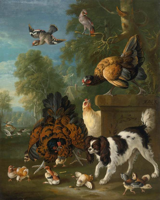 A Family of Chickens, vintage artwork by Pieter Casteels, 12x8" (A4) Poster