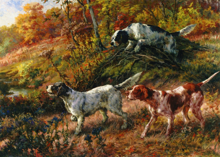 Three Setters on Point by Edmond H. Osthaus,A3(16x12")Poster