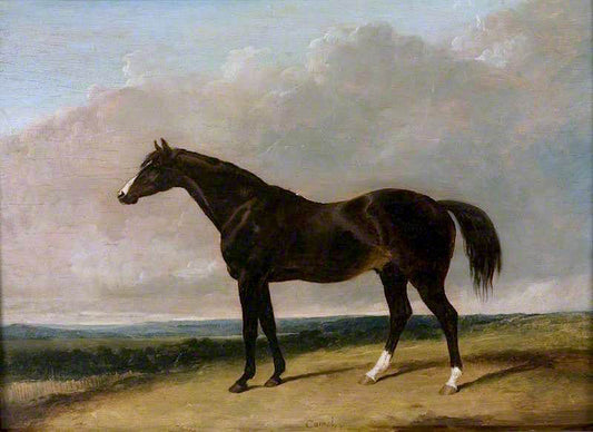 The Racehorse, 'Camel', vintage artwork by Abraham Cooper, 12x8" (A4) Poster
