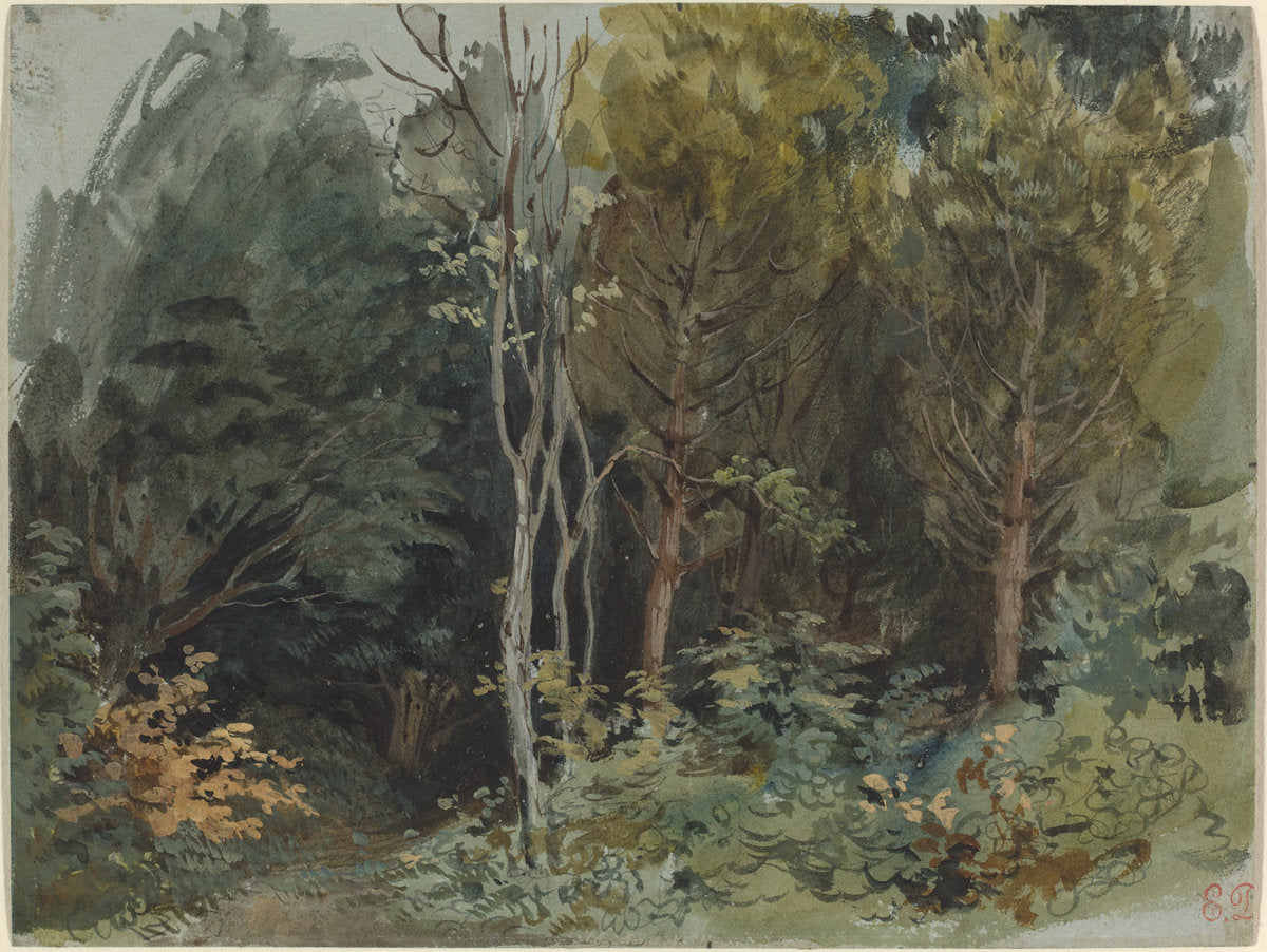 The Edge of a Wood at Nohant, vintage artwork by Eugène Delacroix, A3 (16x12") Poster Print