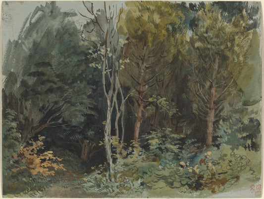 The Edge of a Wood at Nohant, vintage artwork by Eugène Delacroix, A3 (16x12") Poster Print