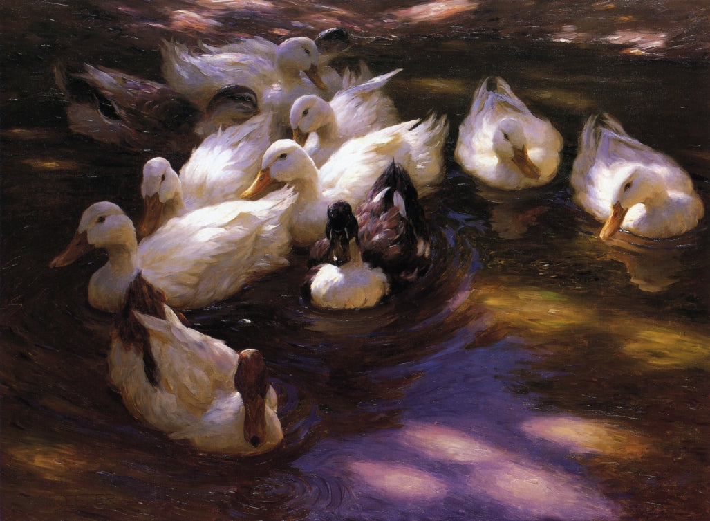 Eleven Ducks in the Morning Sun by Alexander Koester,A3(16x12")Poster