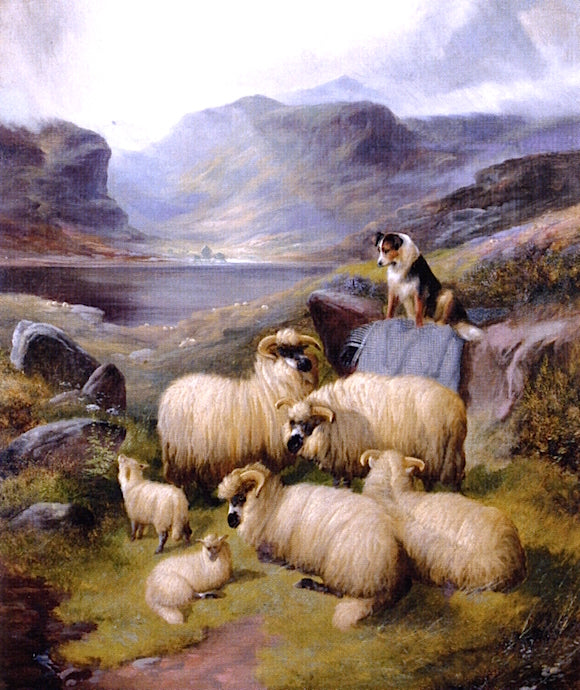 Guarding the Flock, vintage artwork by John Barker, A3 (16x12") Poster Print