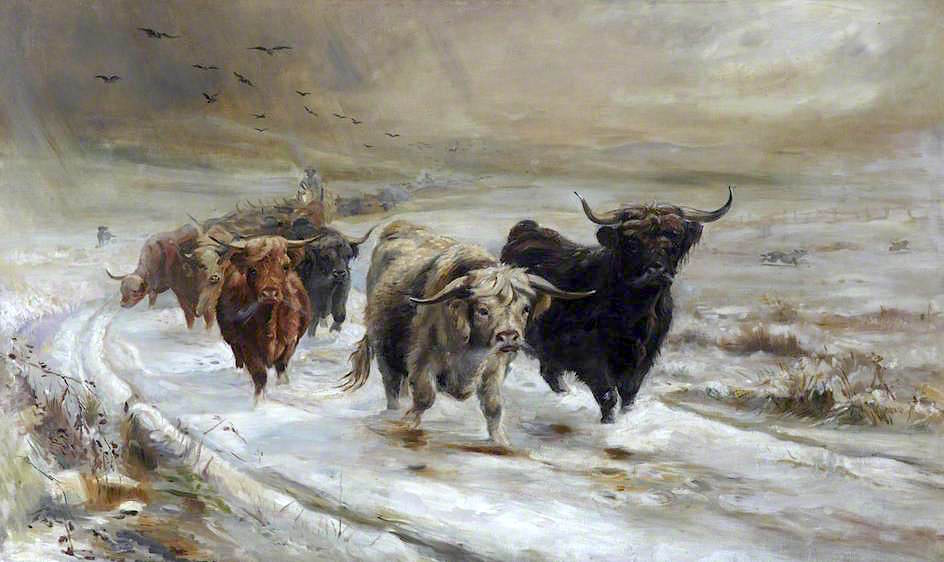 ghland Cattle (after Joseph Denovan Adam) by Reginald Duncan,16x12(A3) Poster