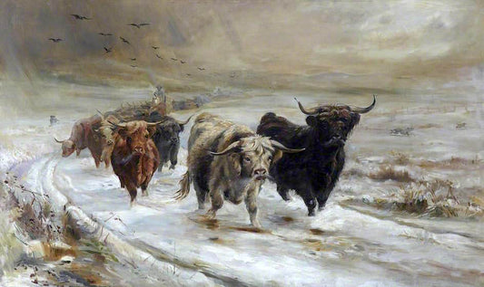 ghland Cattle (after Joseph Denovan Adam) by Reginald Duncan,16x12(A3) Poster