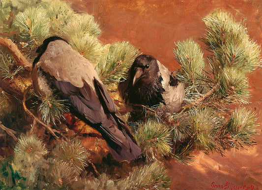 Hooded Crows, vintage artwork by Bruno Liljefors, 12x8" (A4) Poster