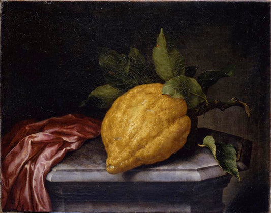 Cedrato gigante su una base di marmo, vintage artwork by Bartolomeo Bimbi, 12x8" (A4) Poster