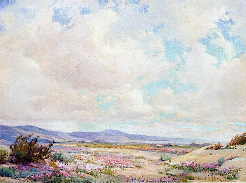 When the Desert Blooms, vintage artwork by Anna Althea Hills, 12x8" (A4) Poster