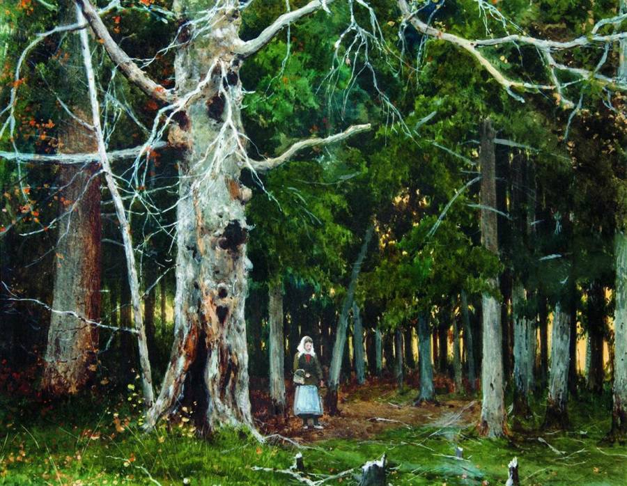 Spruce forest by Konstantin Kryzhitsky,A3(16x12")Poster