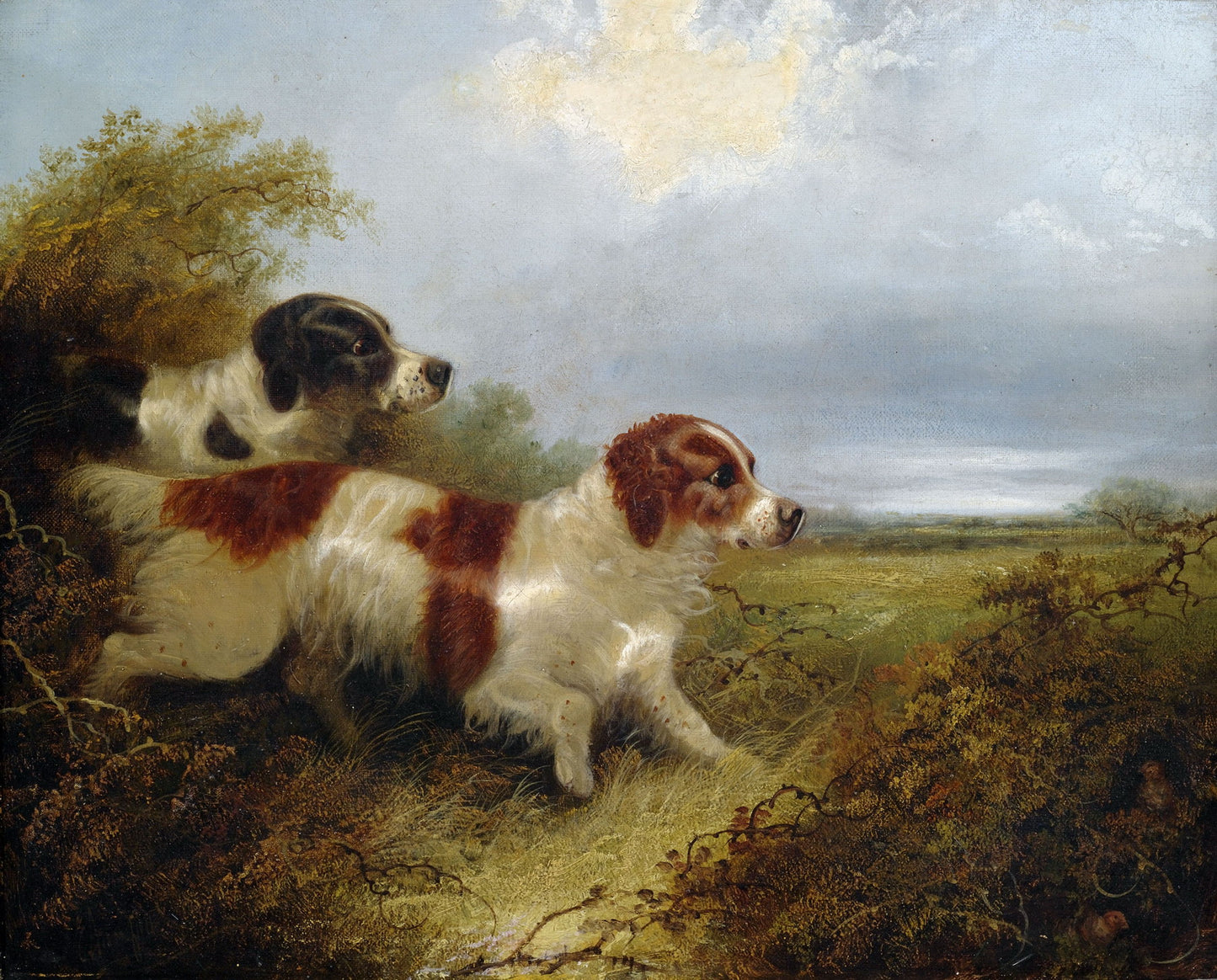 Two Spaniels, vintage artwork by Edward Armfield, A3 (16x12") Poster Print