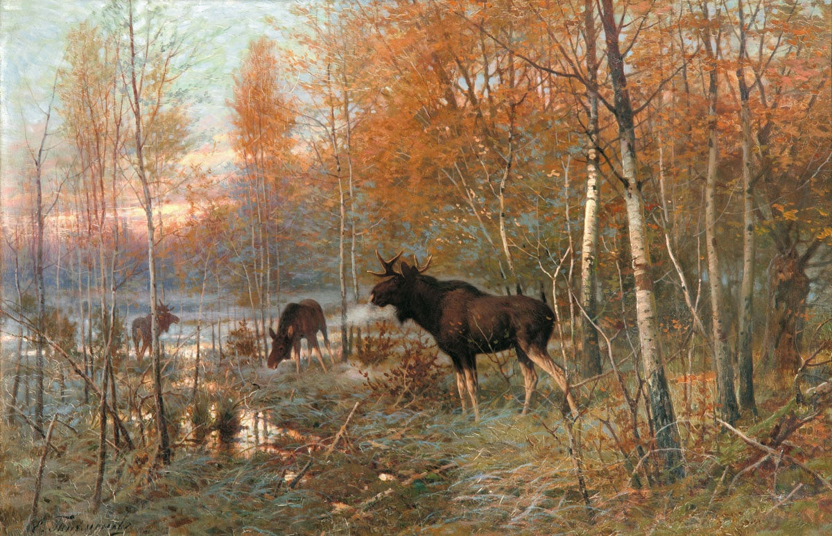 Elk in Autumn Forest by Yevgeny Tikhmenev,A3(16x12")Poster
