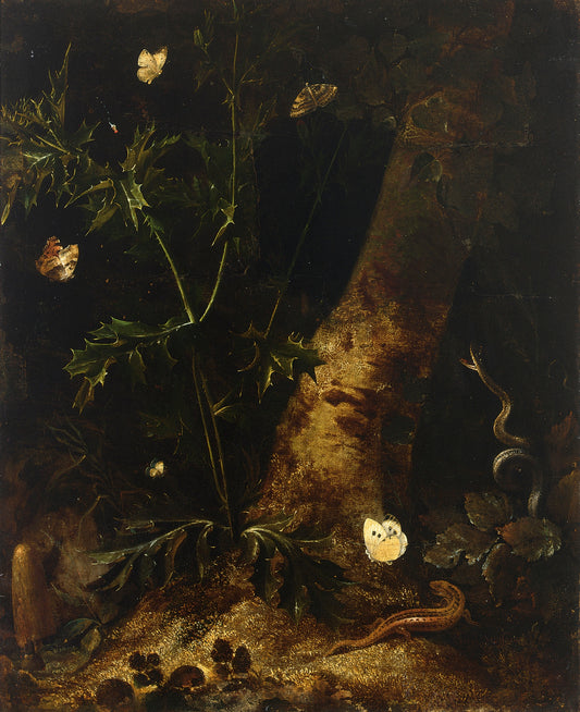 A Forest Floor Still Life with a Salamander, Snake and Various Butterflies around a Thistle, vintage artwork by Otto van Schrieck, 12x8" (A4) Poster