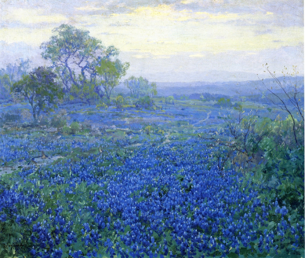A Cloudy Day, Bluebonnets near San Antonio, Texas, vintage artwork by Julian Onderdonk, 12x8" (A4) Poster