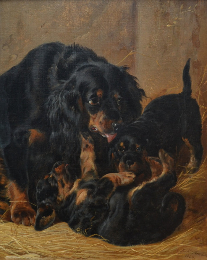 A Family of Gordon Setters, vintage artwork by Richard Ansdell, A3 (16x12