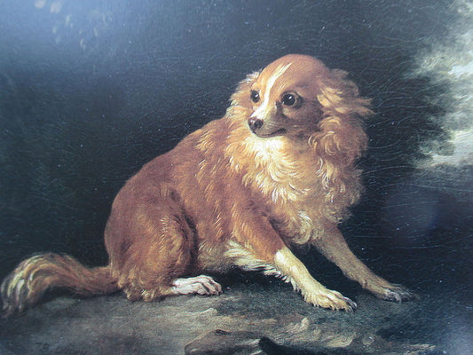 Little Spaniel, vintage artwork by Jean-Baptiste Oudry, 12x8" (A4) Poster
