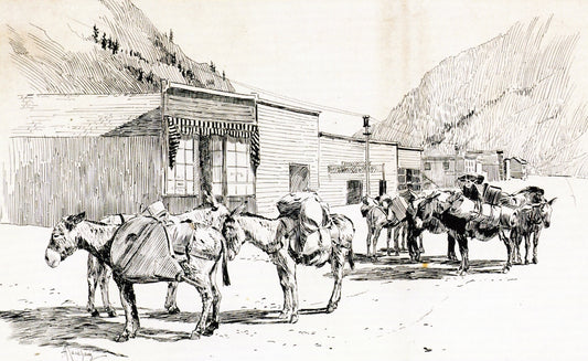 Burros outside a Building, vintage artwork by Arthur Rackham, 12x8" (A4) Poster