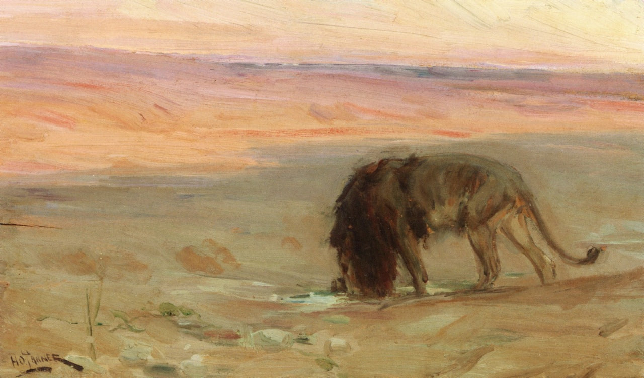 Lion Drinking, vintage artwork by Henry Ossawa Tanner, 12x8" (A4) Poster