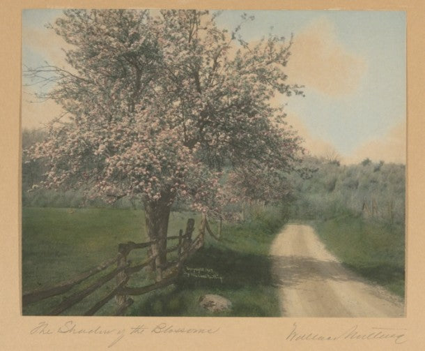 The Shadow of the Blossoms by Wallace Nutting,A3(16x12")Poster