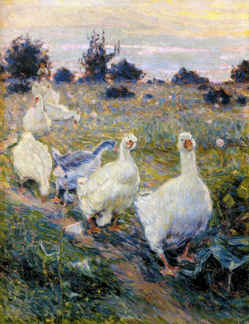 Geese by Kiriak Kostandi,A3(16x12")Poster