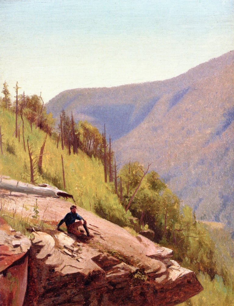 Summer Hills, Kauterskill Clove, vintage artwork by Jervis McEntee, 12x8" (A4) Poster