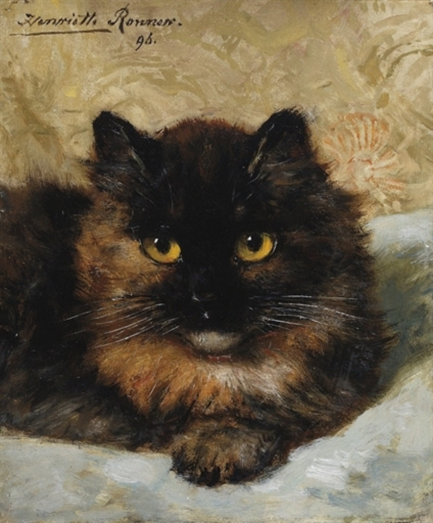 A Kitten, vintage artwork by Henriette Ronner-Knip, A3 (16x12") Poster Print