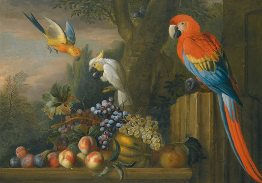 A Still Life With Fruit, Parrots And a Cockatoo, vintage artwork by Jakob Bogdány, 12x8" (A4) Poster