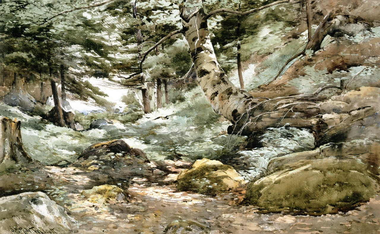 Woods, Monhegan Island, vintage artwork by Samuel P. R. Triscott, 12x8" (A4) Poster