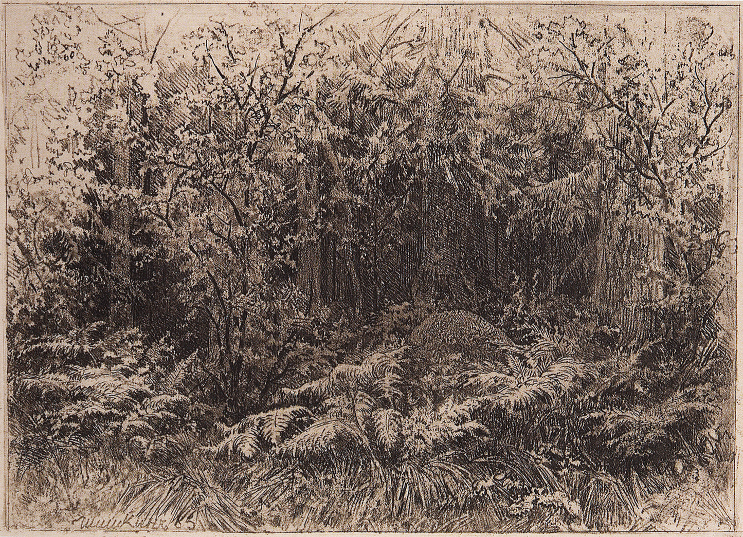 Anthill, vintage artwork by Ivan Ivanovich Shishkin, 12x8" (A4) Poster