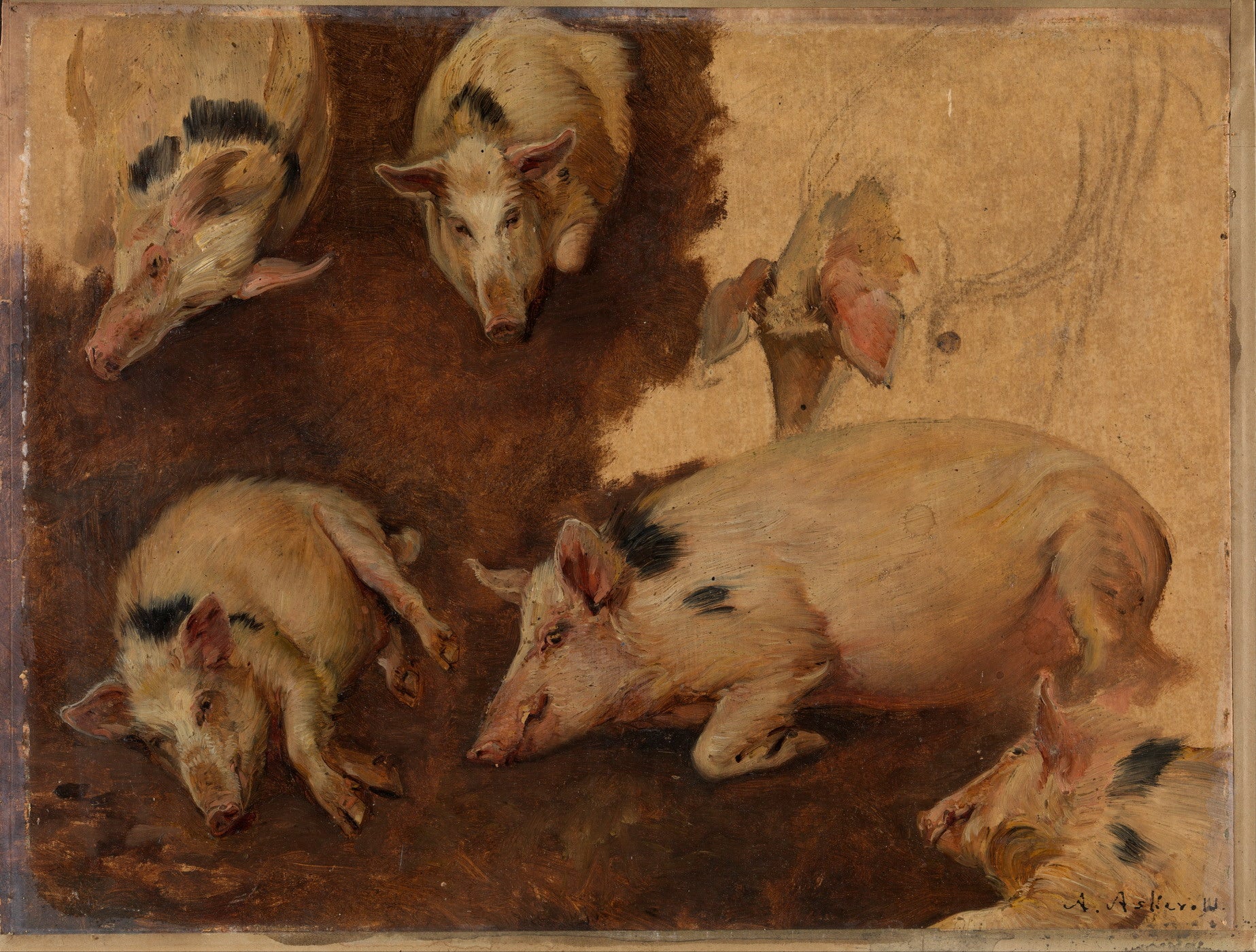 Study of Six Pigs, vintage artwork by Anders Monsen Askevold, 12x8" (A4) Poster