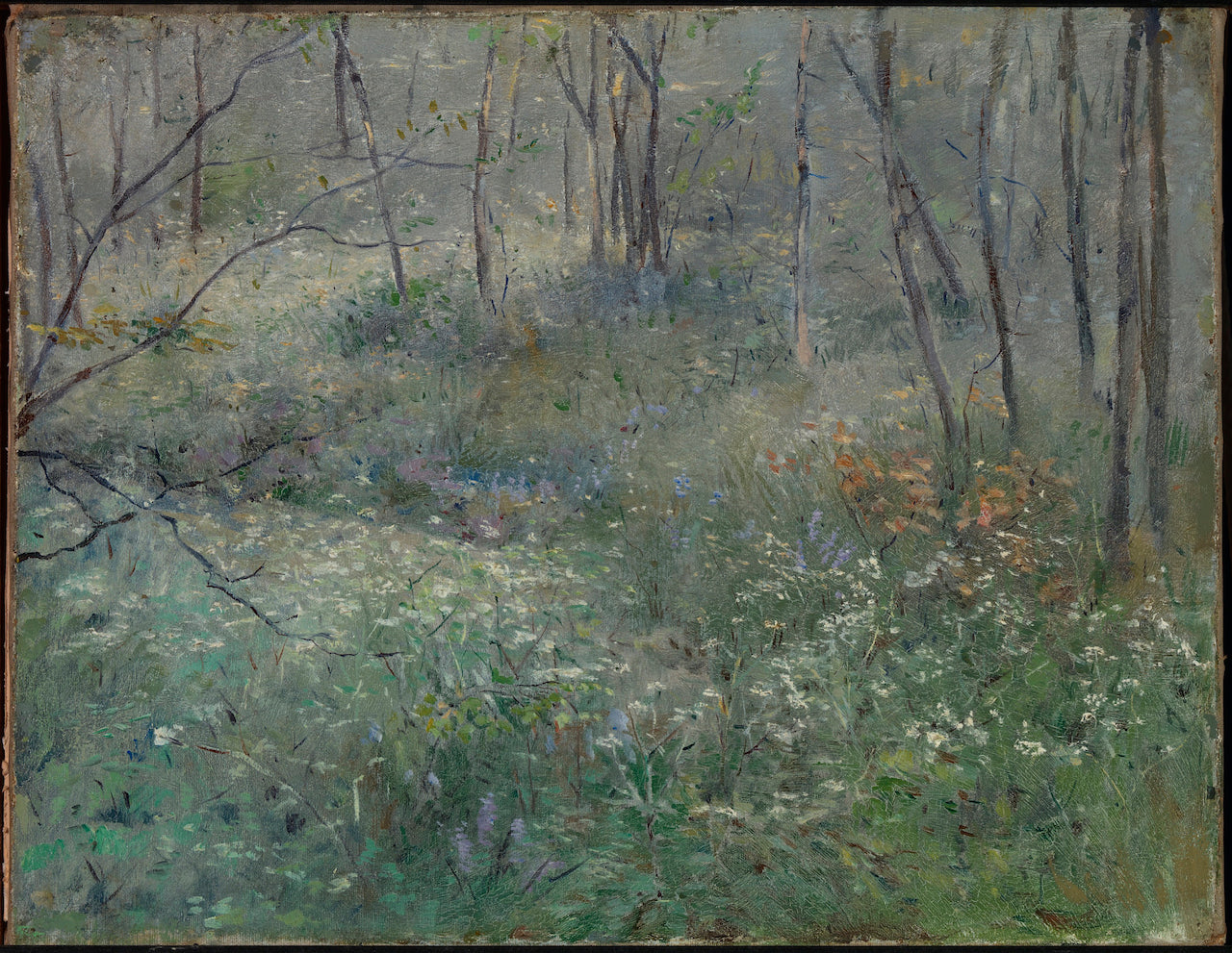 Wild Parsley, vintage artwork by Sarah Paxton Bell Dodson, 12x8" (A4) Poster