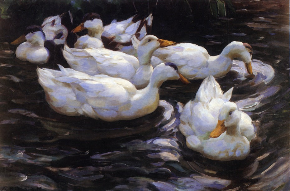 Six Ducks in a Pond by Alexander Koester,A3(16x12")Poster