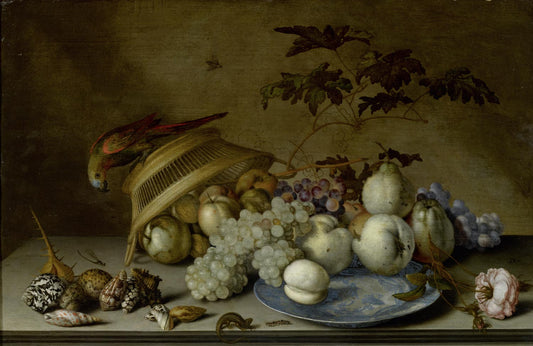 Still life with fruit in a porcelain dish, parrot on a wicker basket, shells and insects, vintage artwork by Balthasar van der Ast, 12x8" (A4) Poster
