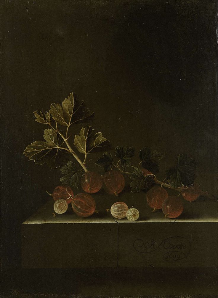 A Sprig of Gooseberries on a Stone Plinth, vintage artwork by Adriaen Coorte, 12x8" (A4) Poster