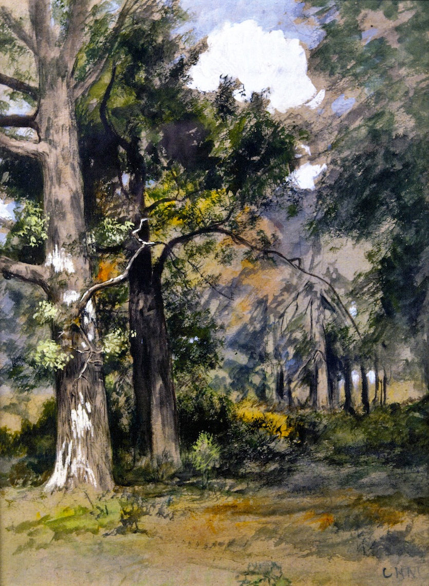 Interior of Woods, N. Queens, vintage artwork by Charles Henry Miller, 12x8" (A4) Poster