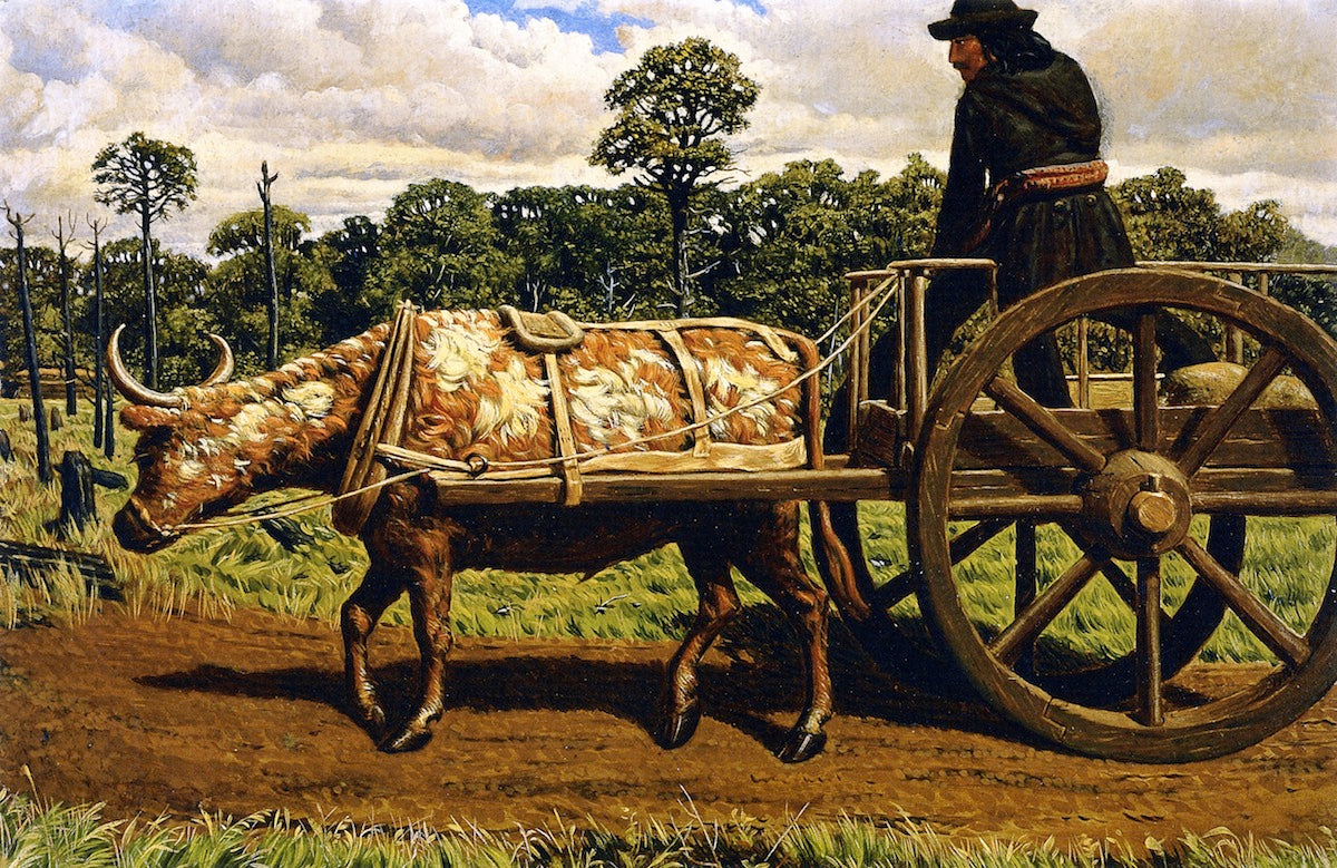 Ox with Red River Card, vintage artwork by William George Richardson Hind, 12x8" (A4) Poster