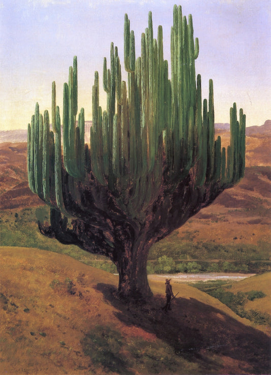 Cardón, vintage artwork by Jose María Velasco, 12x8" (A4) Poster