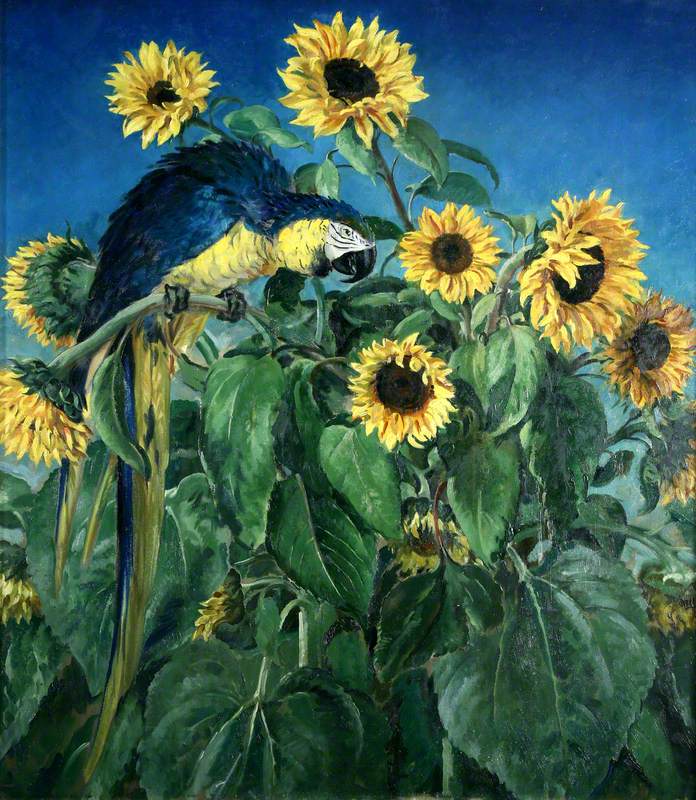 Macaw and Sunflowers by William Bruce Ellis Ranken,16x12(A3) Poster
