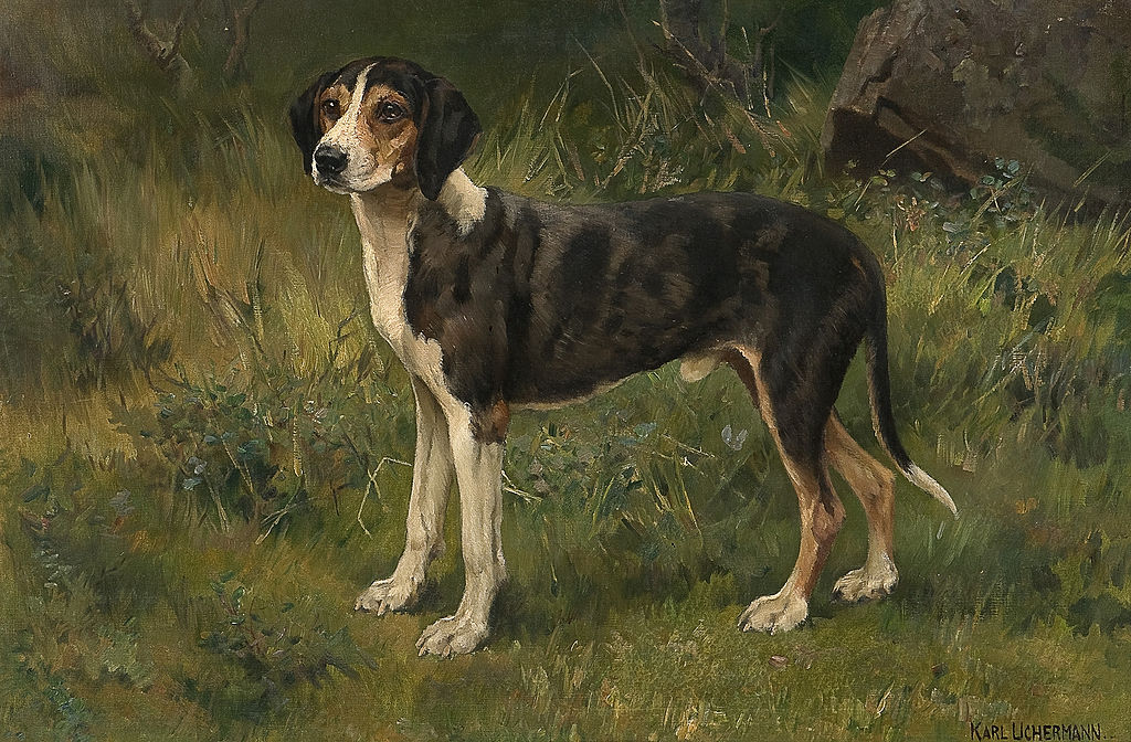 Hound, vintage artwork by Karl Kristian Uchermann, 12x8" (A4) Poster