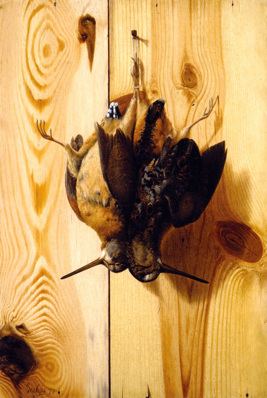Hanging Woodcock, vintage artwork by George Cope, 12x8" (A4) Poster