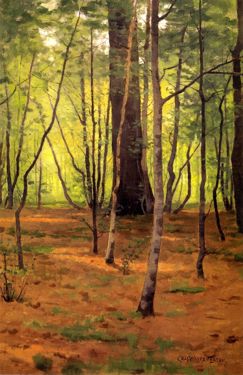 Forest Glen, vintage artwork by Charles Warren Eaton, 12x8" (A4) Poster