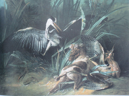 Dog Attacking a Heron, vintage artwork by Jean-Baptiste Oudry, 12x8" (A4) Poster