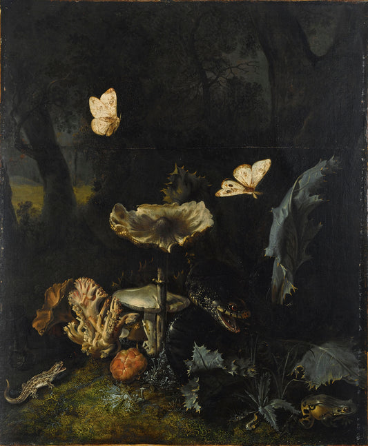 A Forest Floor Still Life with Various fungi, Thistles, an Aspic Viper, etc., vintage artwork by Otto van Schrieck, 12x8" (A4) Poster
