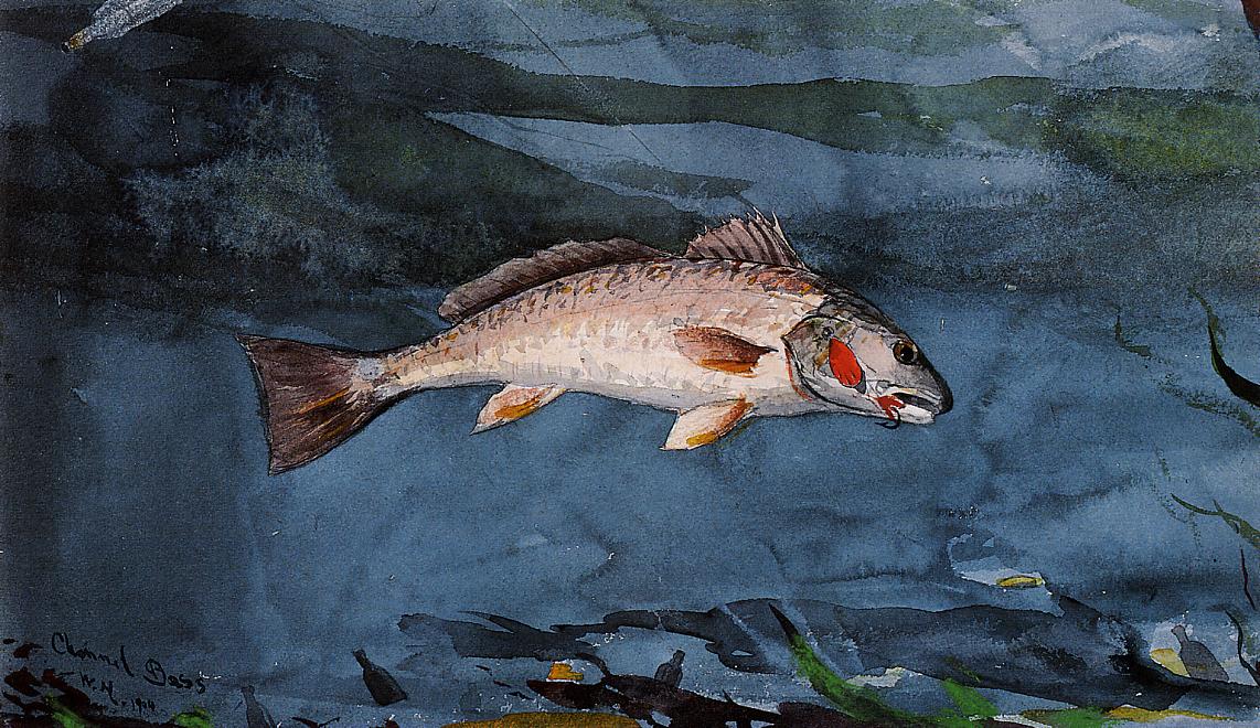 Channel Bass, Florida, vintage artwork by Winslow Homer, 12x8" (A4) Poster