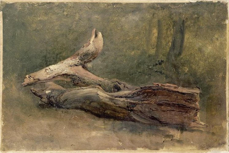 Study of a Dead Tree, vintage artwork by Achille-Etna Michallon, A3 (16x12") Poster Print