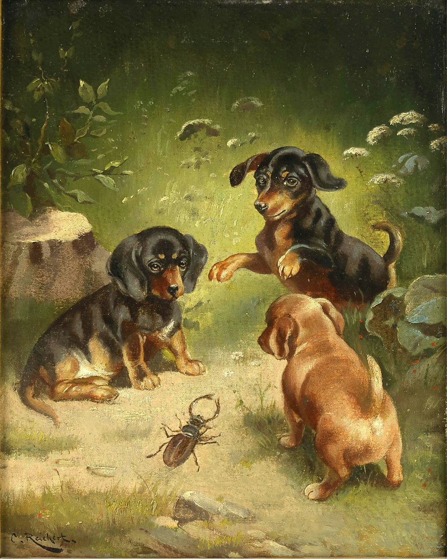 Dachshund puppies at play, vintage artwork by Carl Reichert, 12x8" (A4) Poster