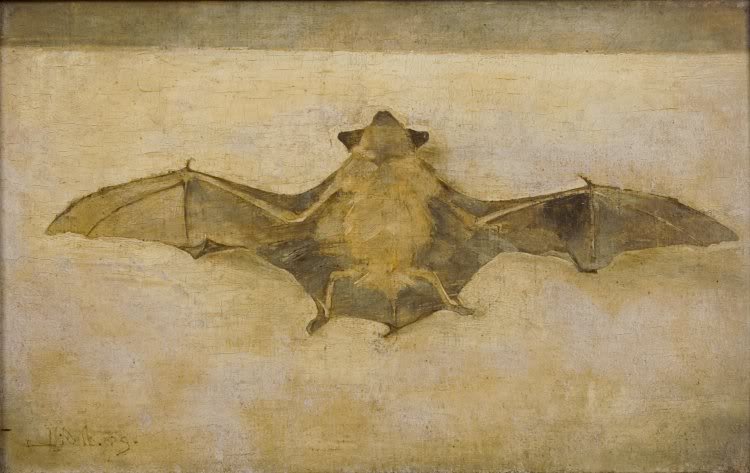A Bat, vintage artwork by Jan Mankes, 12x8" (A4) Poster